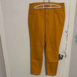 Women's Size 8 d. jeans Jeggings Dandelion Yellow